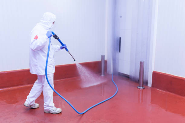 Pre-Holiday Cleaning in Liberty Lake, WA
